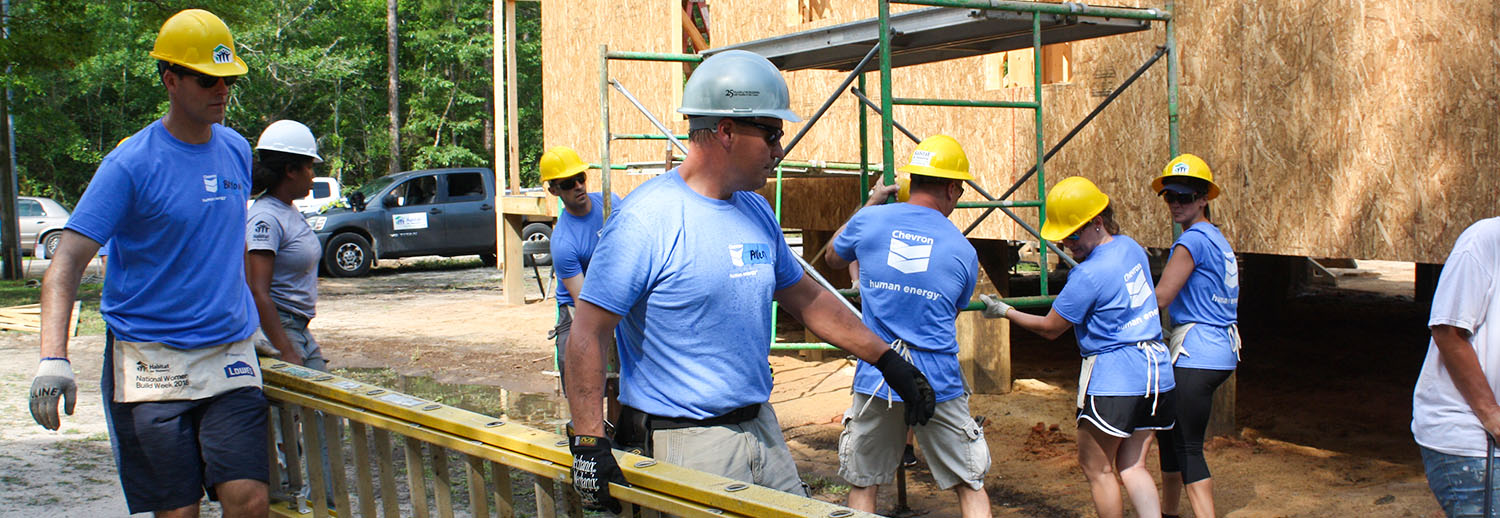 habitat for humanity build