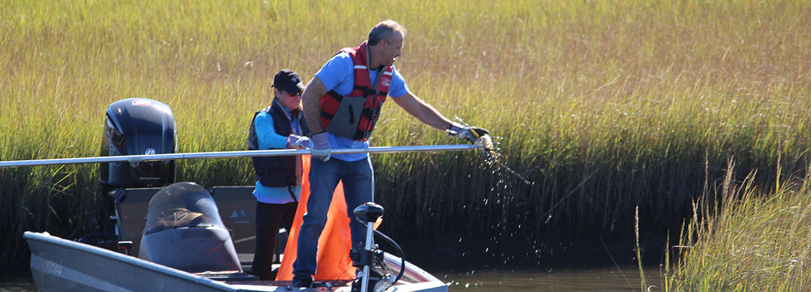 two employees maintaining the health of the Mississippi wetlands