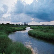 refinery view from jackson county wetlands