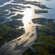 aerial shot of wetlands in the late afternoon