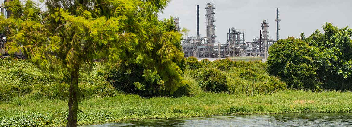 view of the Pascagoula Refinery from nearby wetlands