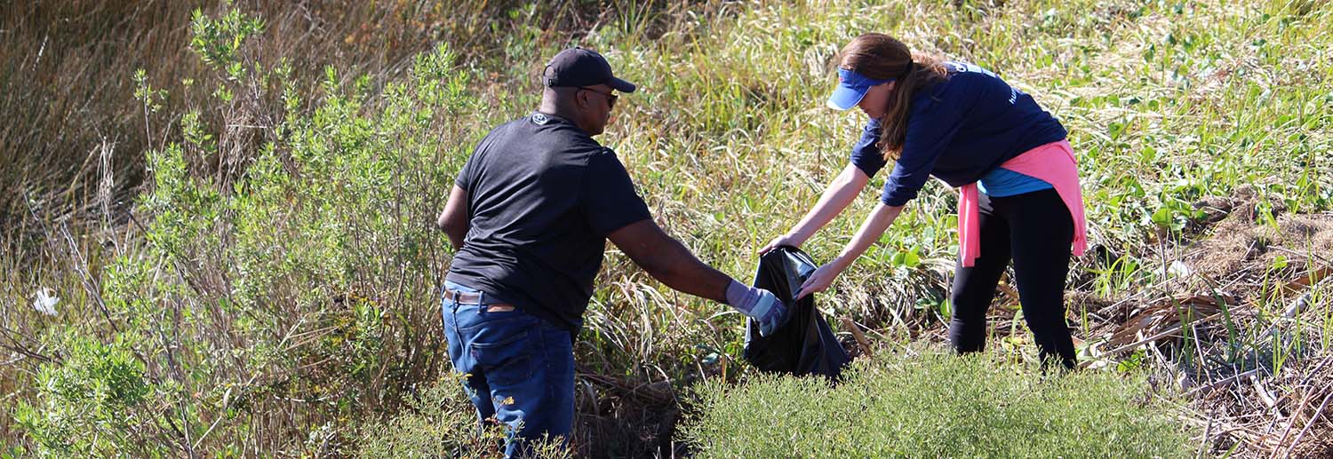 refinery employees collect trash in wetland area